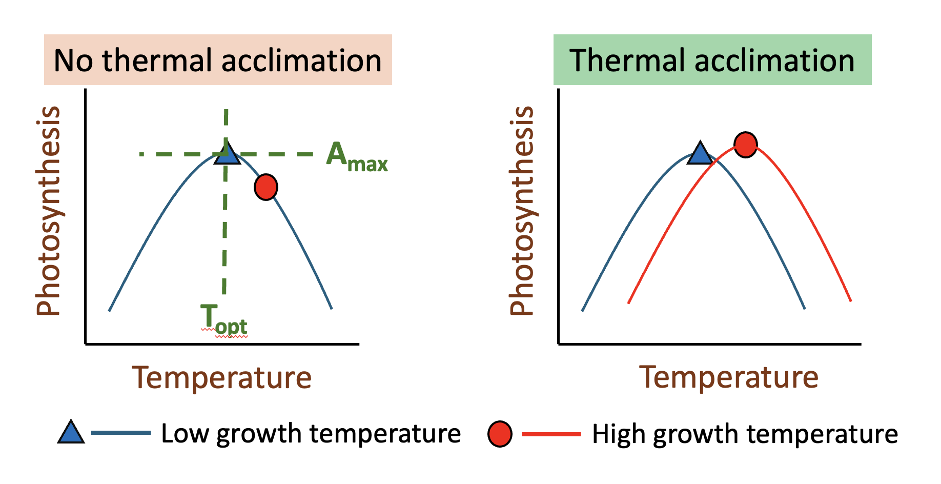Climate acclimation diagram