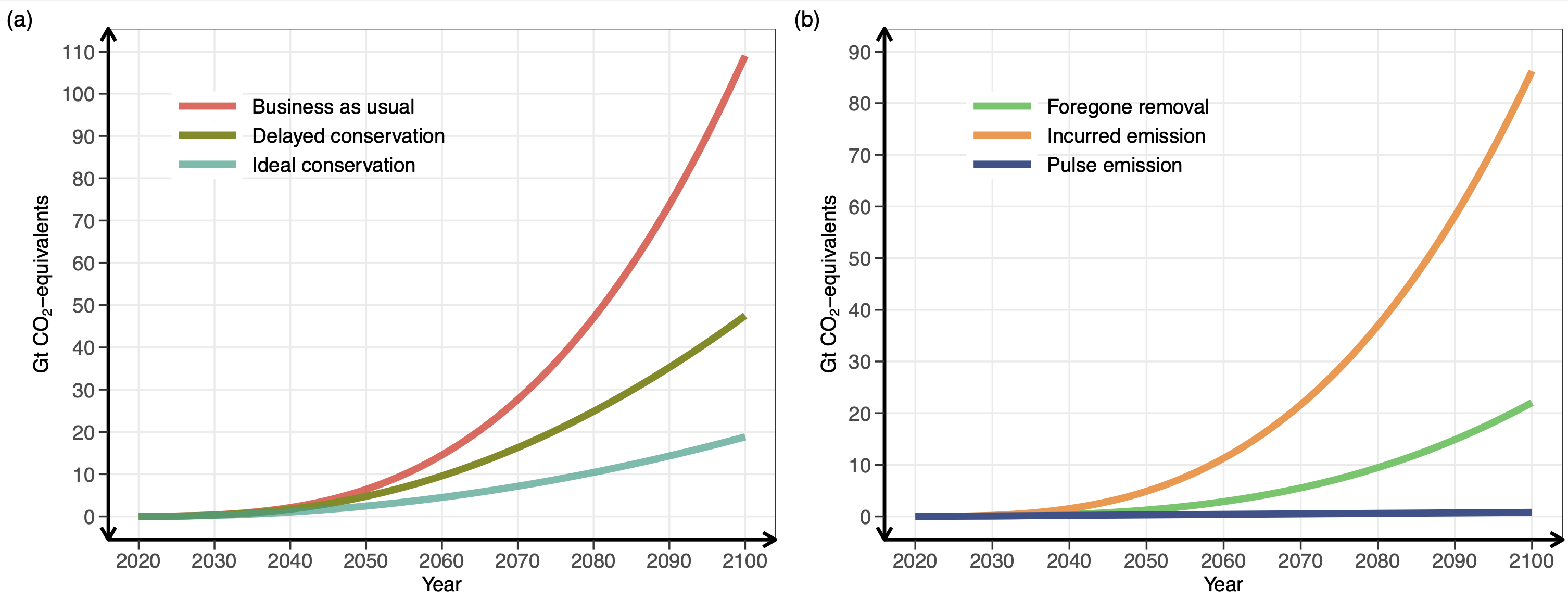 Blue carbon ecosystems